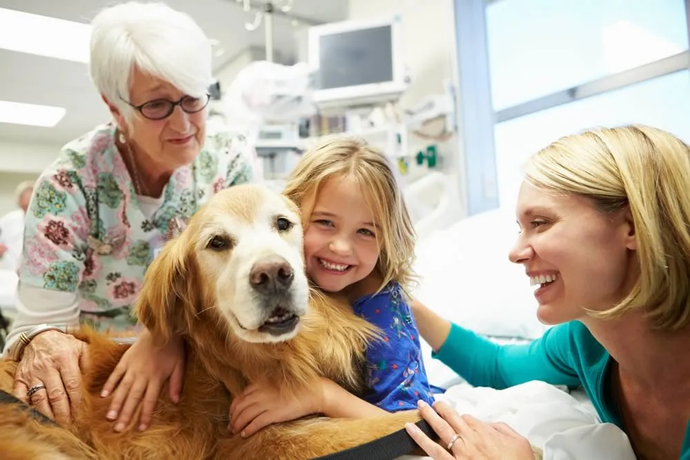 terapia asistida con perros es una alternativa terapéutica que puede aportar beneficios físicos, cognitivos, emocionales o relacionales