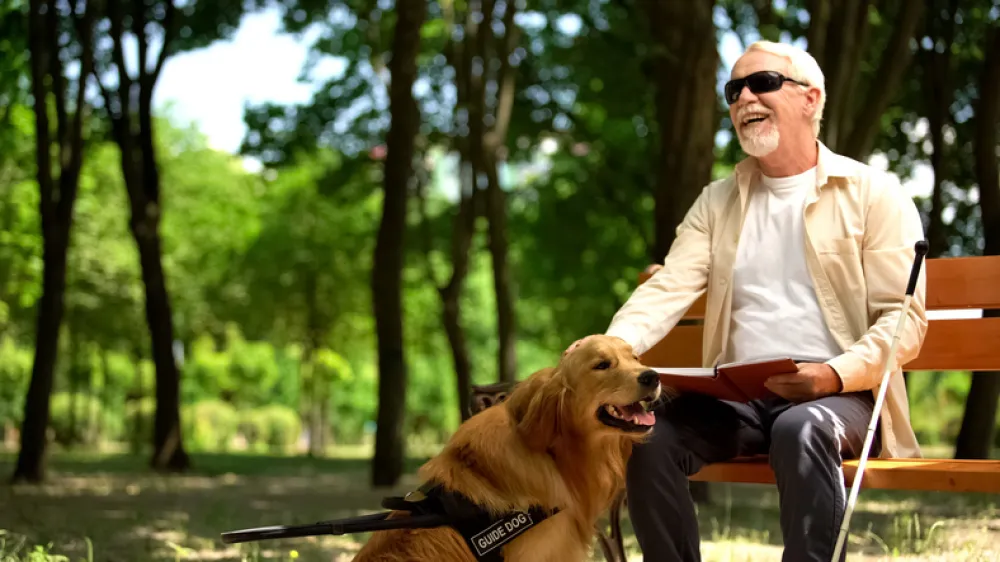 Foto de un señor invidente sentado en un banco de un parque aconpañado de su perro guia