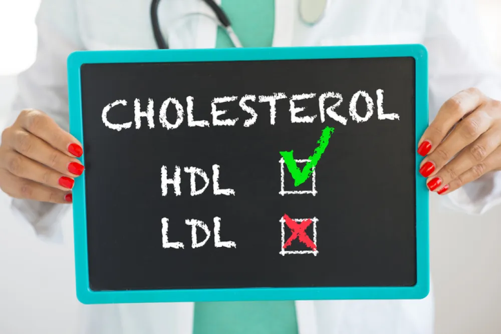Foto de una manos de una médico que sostiene un cartel con la palabra colesterol HDL y LDL