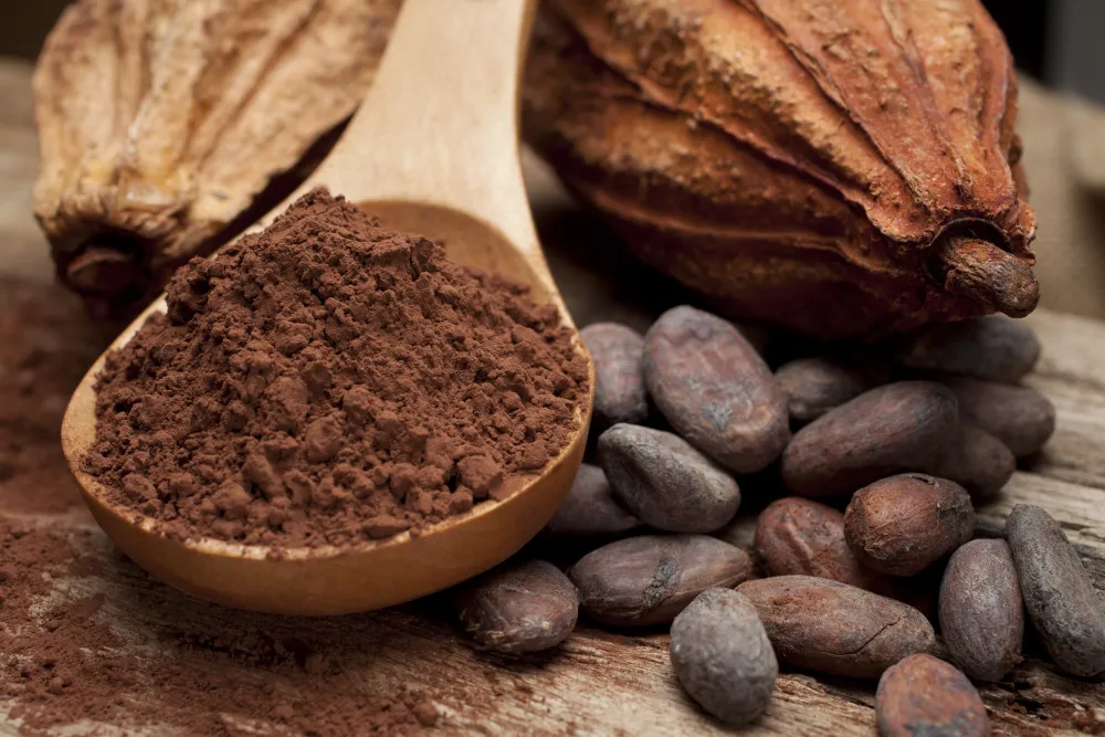 Foto con el cacao en forma de fruto y ya elaborado