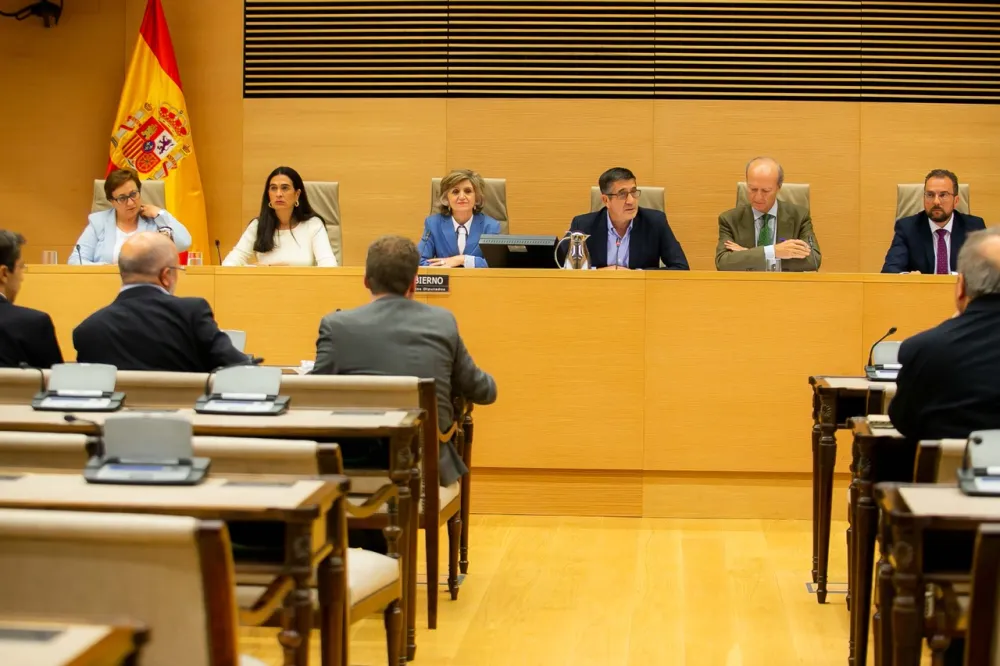 Foto de la ministra en una comisión del congreso de diputados